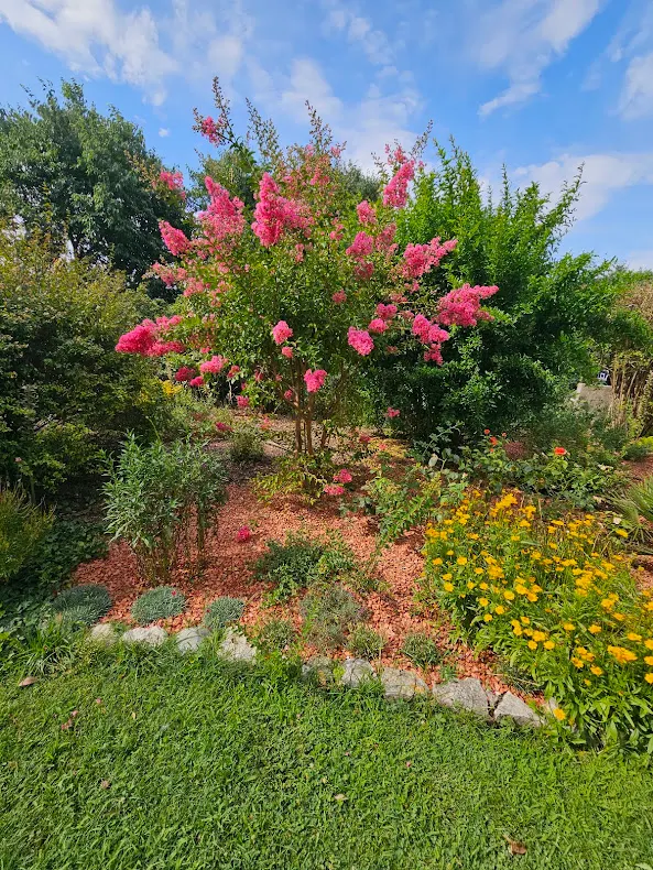 Piscine et sièges de bain dans le jardin de La Frandomière